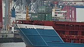 Hamburg Harbour - shipping docks