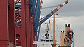Hamburg Harbour - shipping cranes