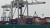 Hamburg Harbour - shipping containers