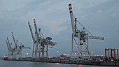 Hamburg Harbour - shipping cranes