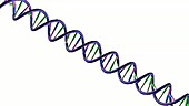 Telomere Part 1