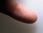 Finger tip
