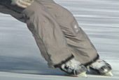 Para-skiing and skating