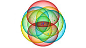 Fluorine atom