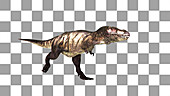 Tyrannosaurus rex dinosaur