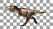 Tyrannosaurus rex dinosaur