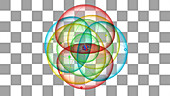 Fluorine atom