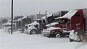 Trucks in the snow in a ablizzard