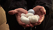 Hands holding huge hailstones