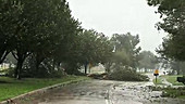 Hurricane Gustav, Louisiana