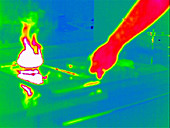 Thermogram of gas hob
