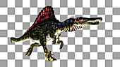 Spinosaurus dinosaur