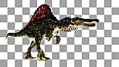 Spinosaurus dinosaur