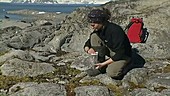 Collecting moss samples