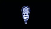 Energy-saving lightbulb, X-ray
