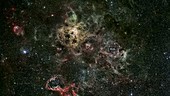 Massive stars in RMC 136 cluster