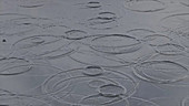 Raindrops in water