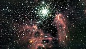 NGC 3603 Nebula