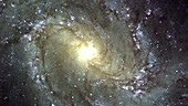 Southern Pinwheel Galaxy, M83