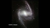 Galaxy NGC 1365, visible and infrared