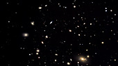Coma Cluster of galaxies