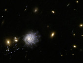 Galaxy ripped apart by galaxy cluster