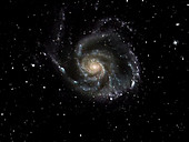 Zoom in to Pinwheel Galaxy