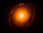 View of NGC 1512 through 7 filters