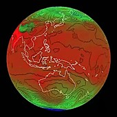 NOAA FIM model for temperature