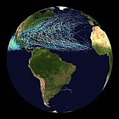 Cumulative hurricane tracks, 1950-2005
