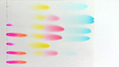 Paper chromatography of inks