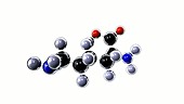 Lysine amino acid molecule