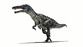 Suchomimus dinosaur running