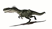 Monolophosaurus dinosaur running