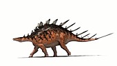 Kentrosaurus dinosaur walking