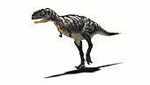 Aucasaurus dinosaur walking