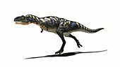 Aucasaurus dinosaur running