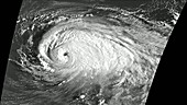 Hurricane Luis, 1995