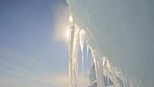 Melting Arctic icicles