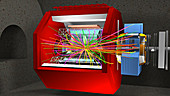 ALICE experiment, CERN