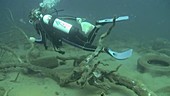 Diver over polluted seabed