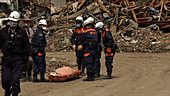 Japan earthquake and tsunami damage, 2011