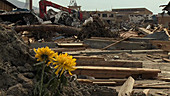 Japan earthquake and tsunami damage, 2011