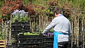 Man carrying flowers