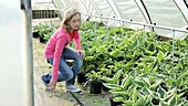 Child looking at plants