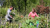 Couple holding plants