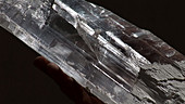 Selenite crystal from Naica Mine, Mexico