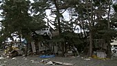 Japan earthquake and tsunami damage, 2011