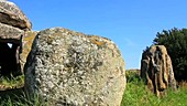 Standing stones and dolmen