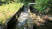 Fish ladder